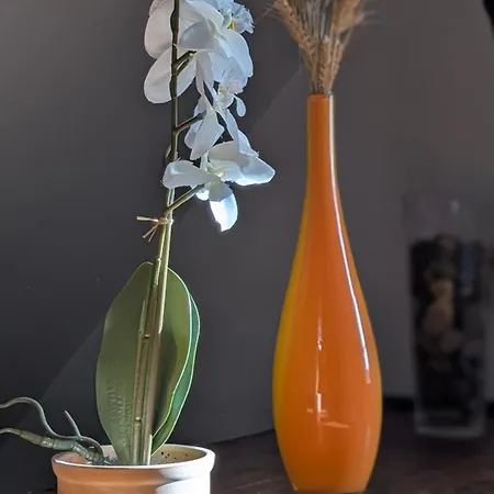 Les Perles Du Ried - 202 דירה Boofzheim