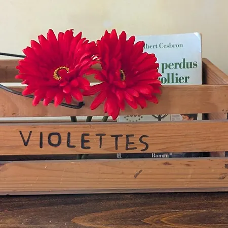 Les Perles Du Ried - Gite 2 Proche Europapark Strasbourg Colmar Lägenhet