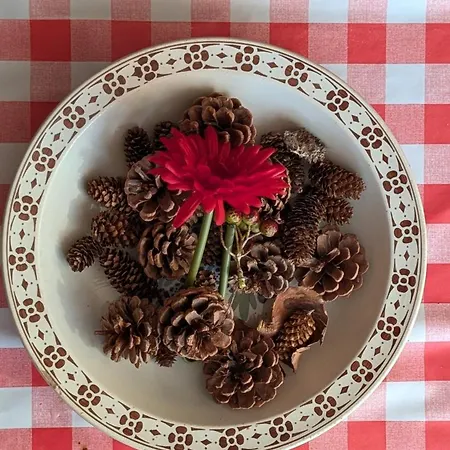 Les Perles Du Ried - 202 דירה Boofzheim