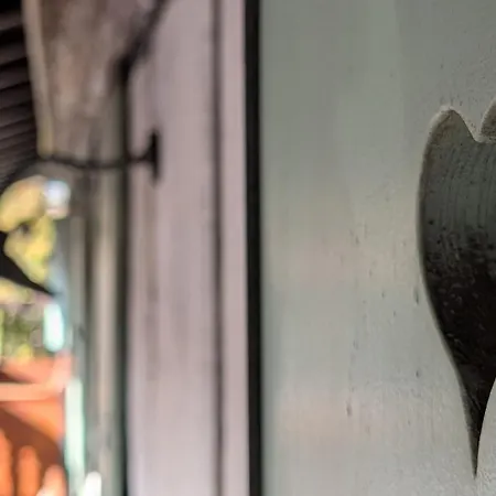 Les Perles Du Ried - 202 Boofzheim